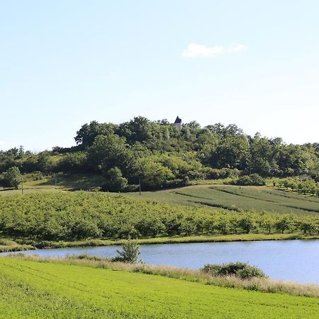 Villa Moulin De Rouzé Castelnaud-de-Gratecambe Esterno foto