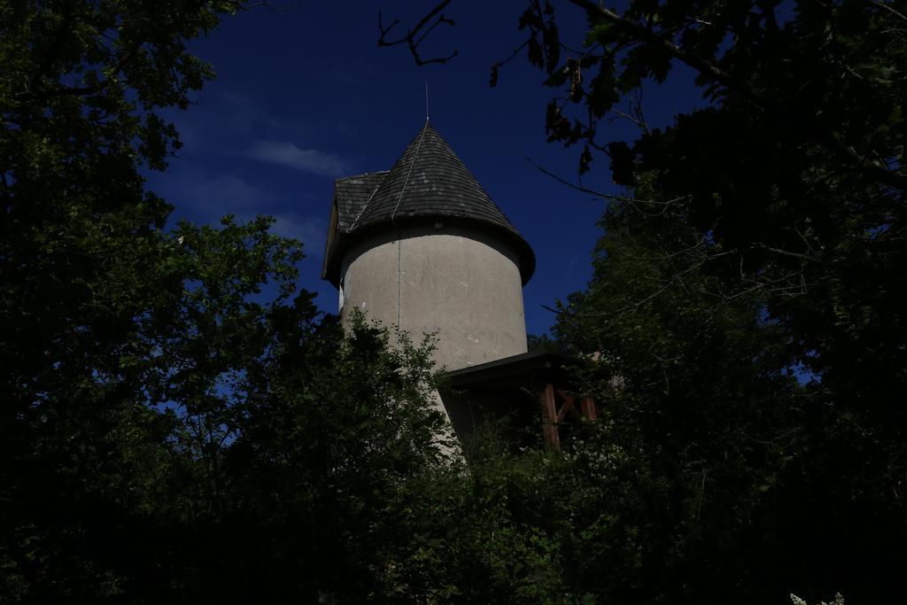 Villa Moulin De Rouzé Castelnaud-de-Gratecambe Camera foto