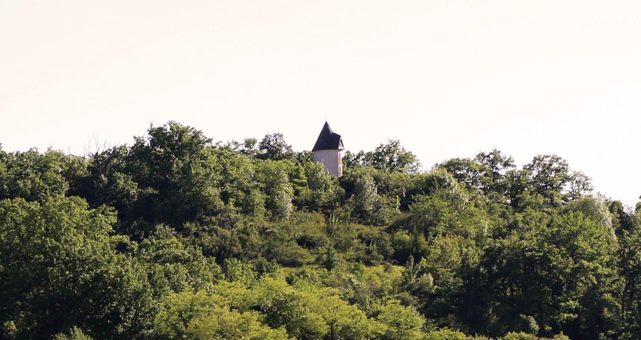 Villa Moulin De Rouzé Castelnaud-de-Gratecambe Esterno foto