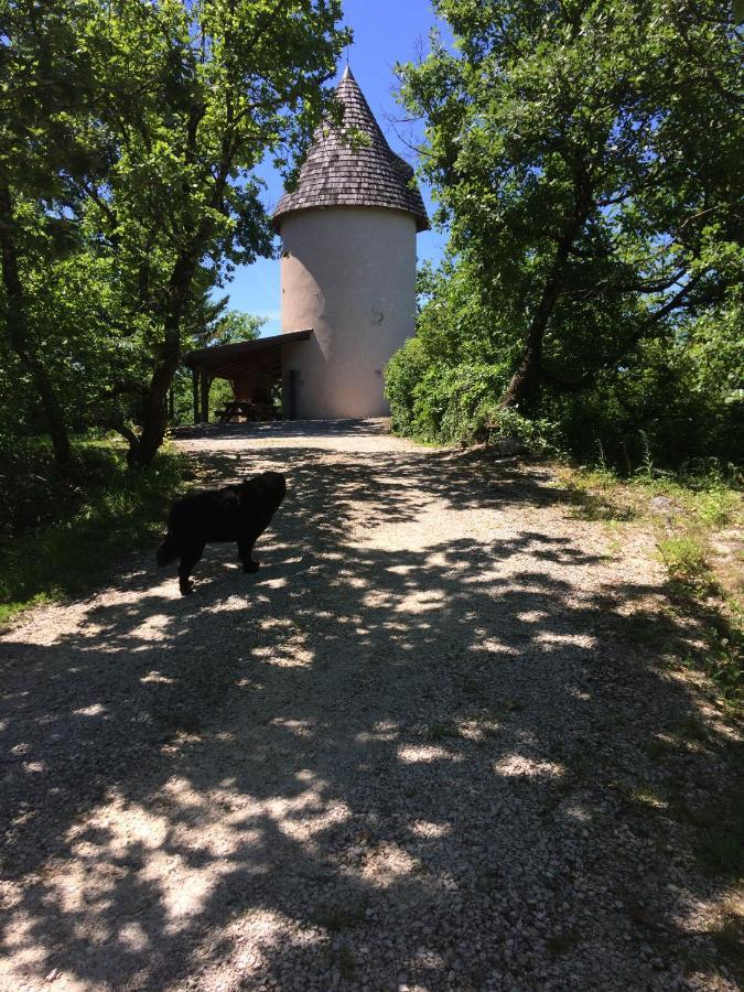 Villa Moulin De Rouzé Castelnaud-de-Gratecambe Esterno foto